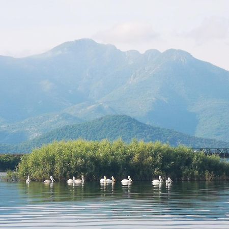 Apartment Dapcevic Skadar Lake Vranjina 외부 사진
