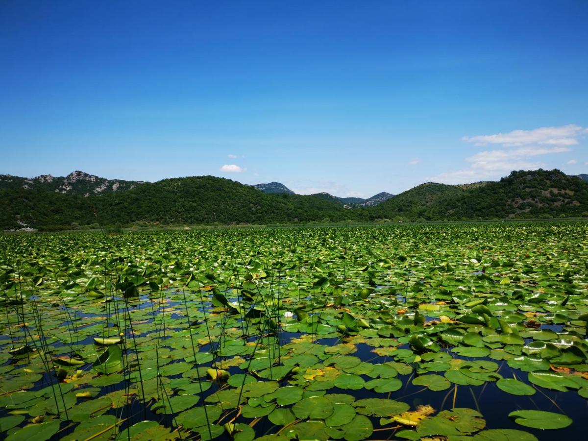 Apartment Dapcevic Skadar Lake Vranjina 외부 사진