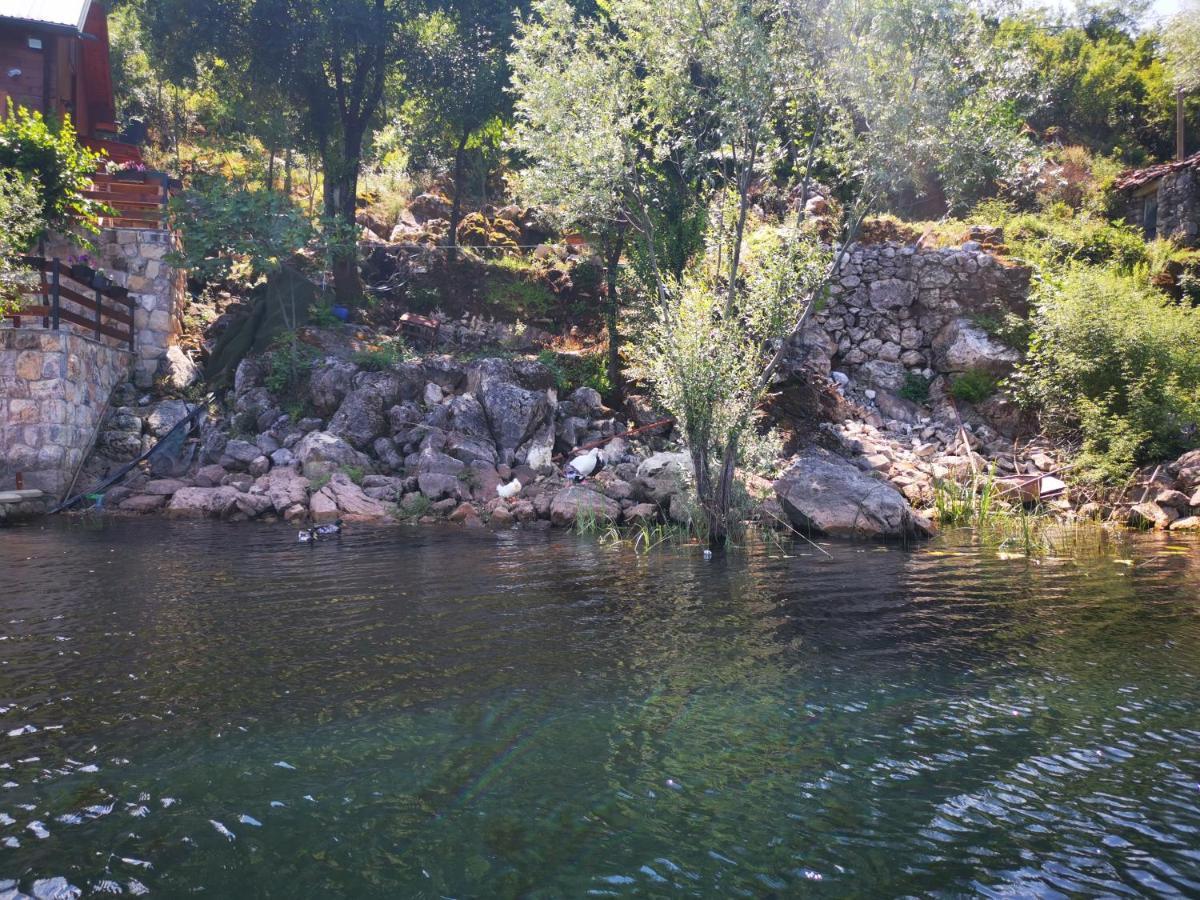 Apartment Dapcevic Skadar Lake Vranjina 외부 사진
