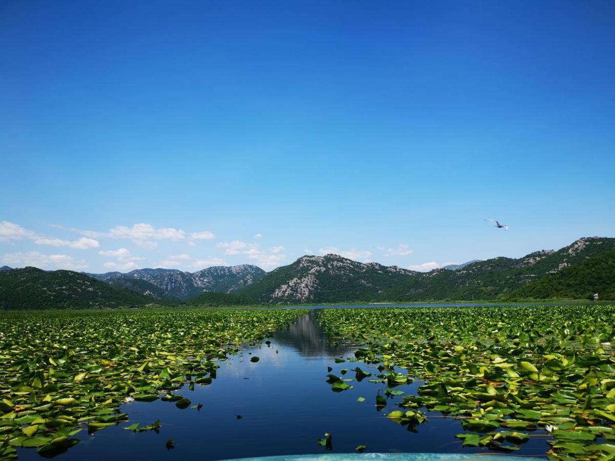 Apartment Dapcevic Skadar Lake Vranjina 외부 사진