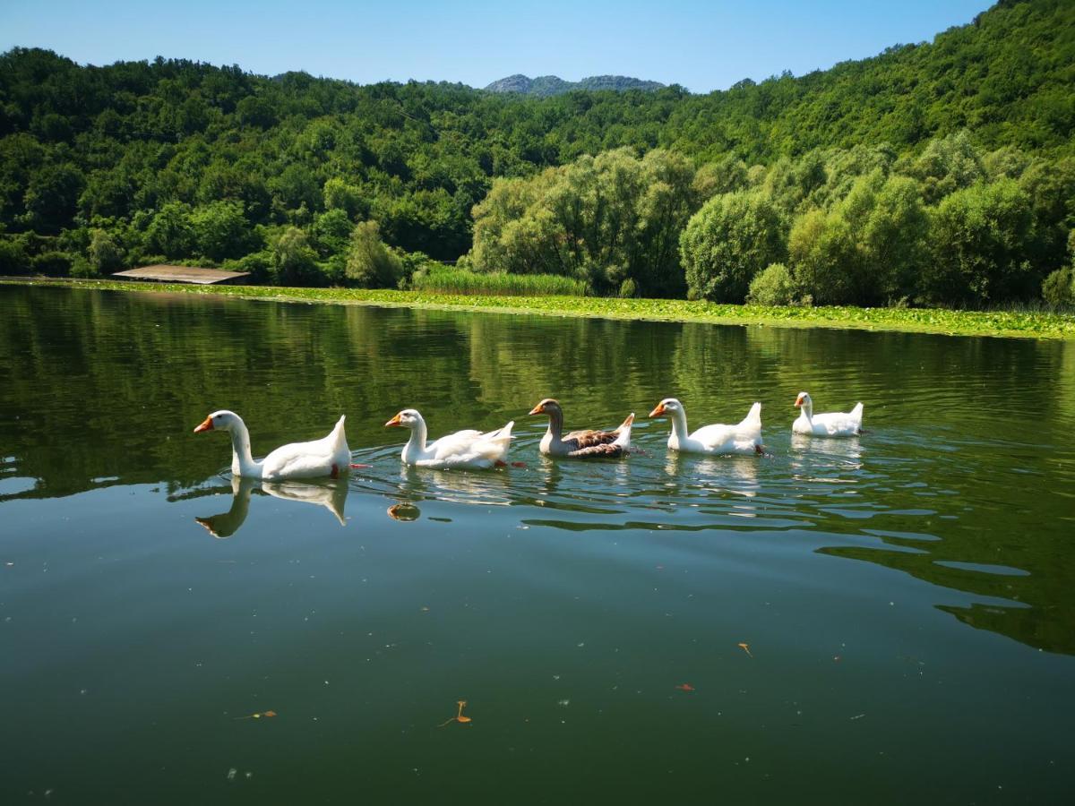 Apartment Dapcevic Skadar Lake Vranjina 외부 사진