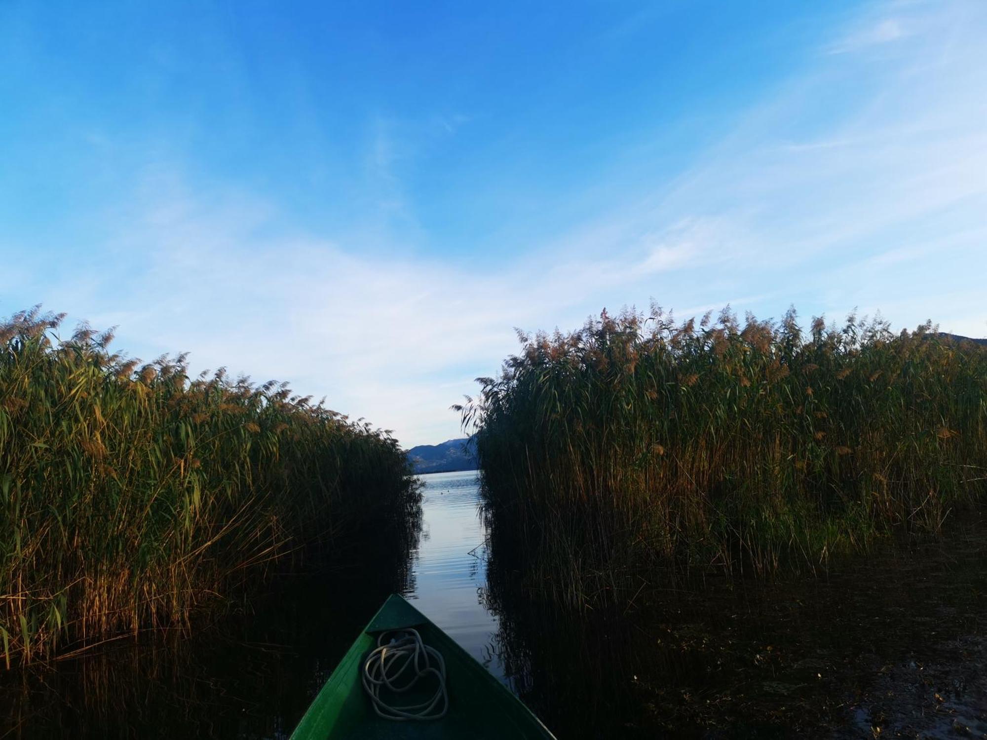 Apartment Dapcevic Skadar Lake Vranjina 외부 사진