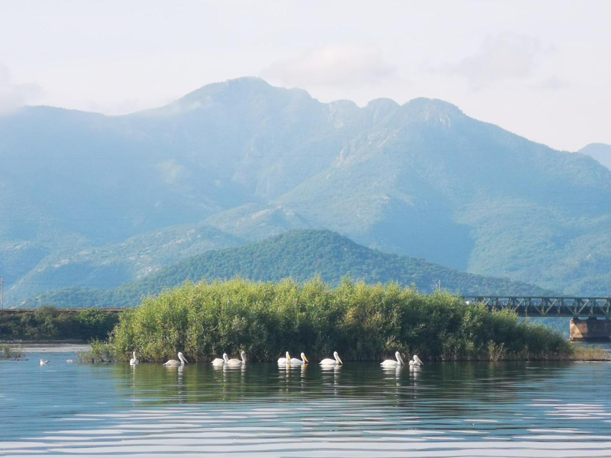 Apartment Dapcevic Skadar Lake Vranjina 외부 사진